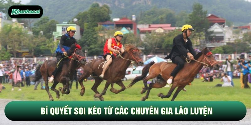 Bí quyết soi kèo từ các chuyên gia lão luyện Bí quyết soi kèo từ các chuyên gia lão luyện