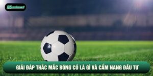 Giải Đáp Thắc Mắc Bóng Cỏ Là Gì Và Cẩm Nang Đầu Tư Hiệu Quả