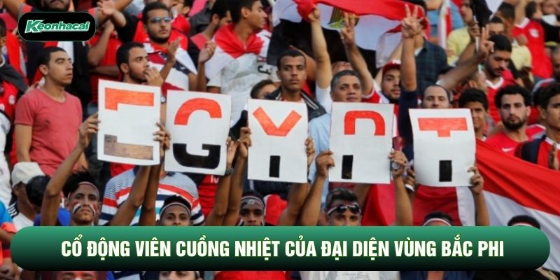 Cổ động viên cuồng nhiệt của đại diện vùng Bắc Phi