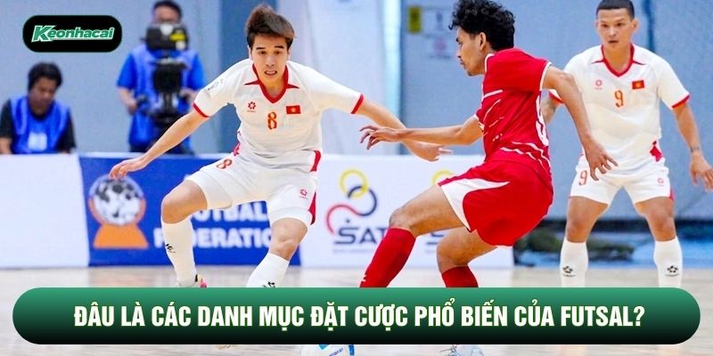 Đâu là các danh mục đặt cược phổ biến của futsal? Đâu là các danh mục đặt cược phổ biến của futsal?