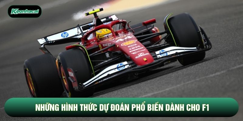 Những hình thức dự đoán phổ biến dành cho F1