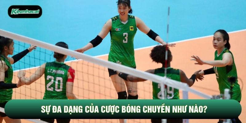 Sự đa dạng của cược bóng chuyền như nào?